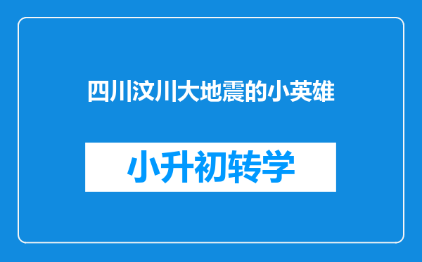 四川汶川大地震的小英雄