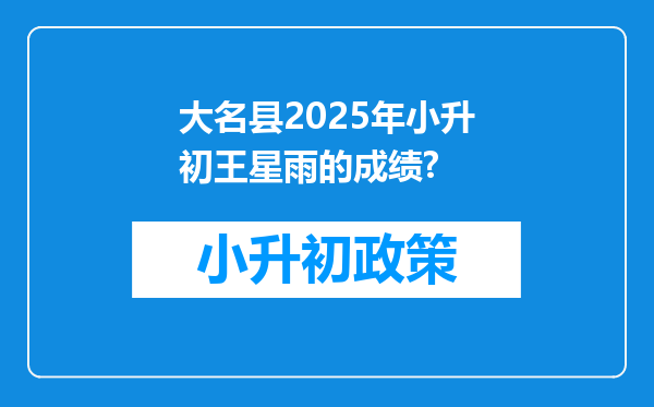 大名县2025年小升初王星雨的成绩?