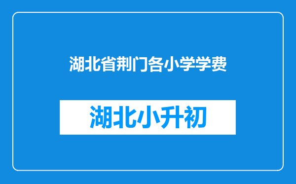 湖北省荆门各小学学费