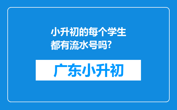 小升初的每个学生都有流水号吗?