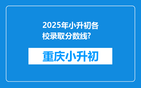 2025年小升初各校录取分数线?