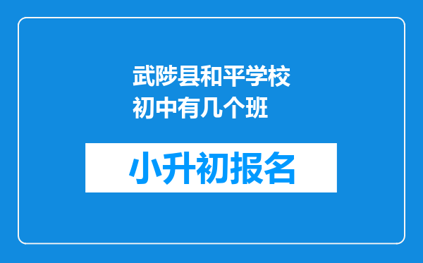 武陟县和平学校初中有几个班