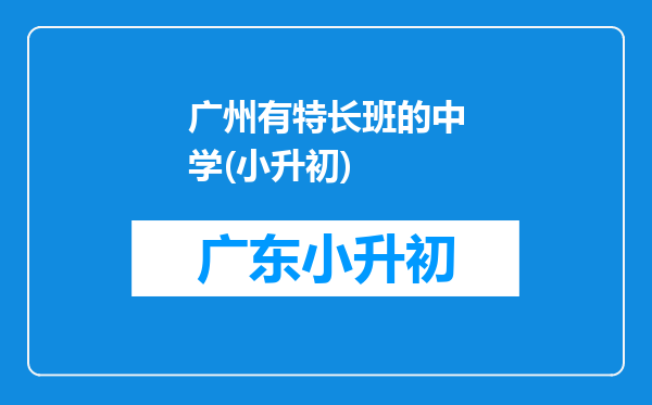 广州有特长班的中学(小升初)