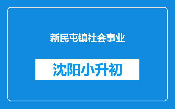 新民屯镇社会事业