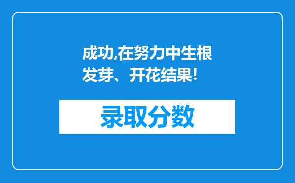 成功,在努力中生根发芽、开花结果!