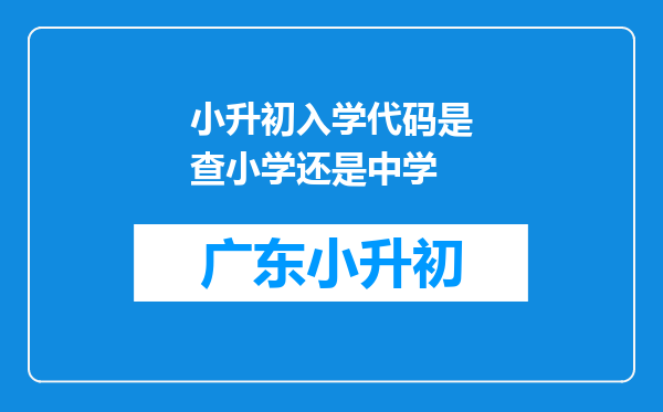 小升初入学代码是查小学还是中学