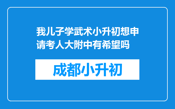 我儿子学武术小升初想申请考人大附中有希望吗