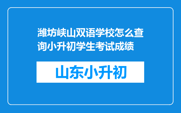 潍坊峡山双语学校怎么查询小升初学生考试成绩