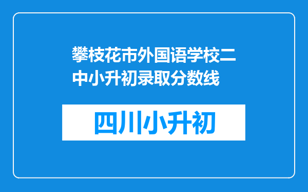 攀枝花市外国语学校二中小升初录取分数线