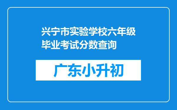 兴宁市实验学校六年级毕业考试分数查询