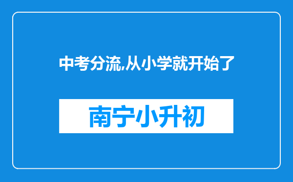 中考分流,从小学就开始了