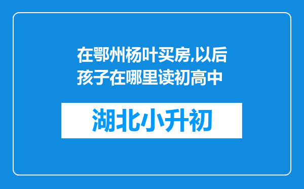 在鄂州杨叶买房,以后孩子在哪里读初高中