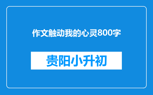 作文触动我的心灵800字