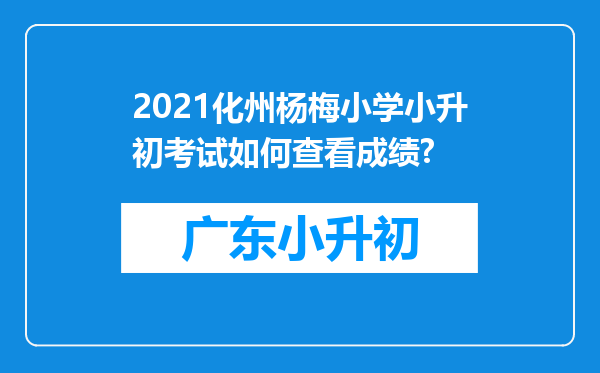 2021化州杨梅小学小升初考试如何查看成绩?