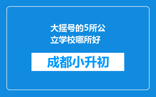 大摇号的5所公立学校哪所好