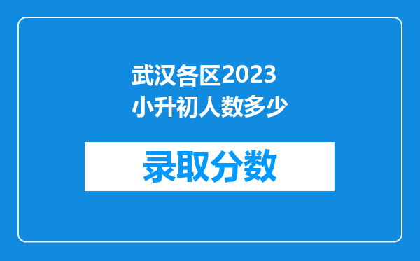 武汉各区2023小升初人数多少