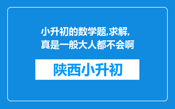 小升初的数学题,求解,真是一般大人都不会啊