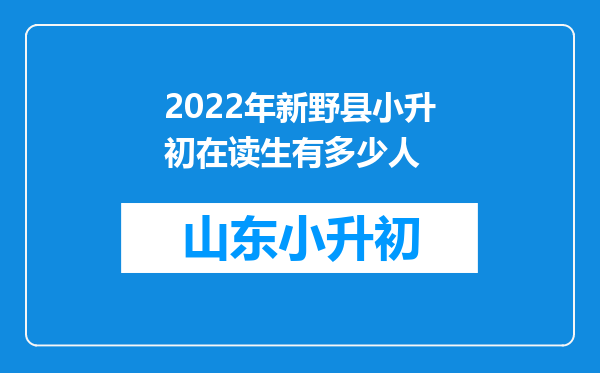 2022年新野县小升初在读生有多少人