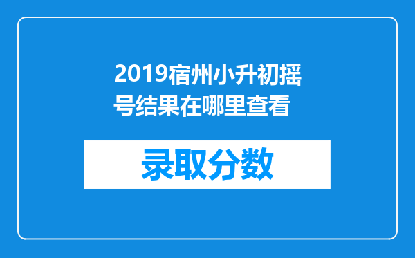 2019宿州小升初摇号结果在哪里查看