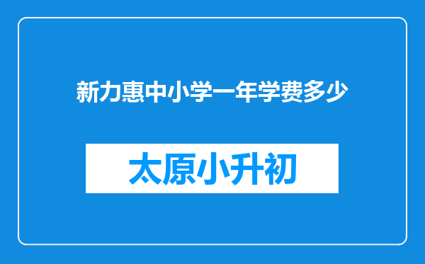 新力惠中小学一年学费多少