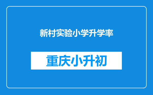 新村实验小学升学率