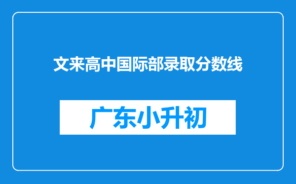 文来高中国际部录取分数线