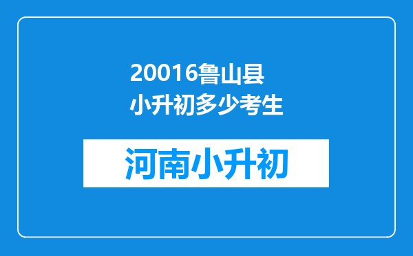 20016鲁山县小升初多少考生