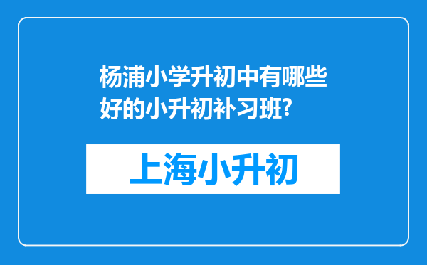 杨浦小学升初中有哪些好的小升初补习班?