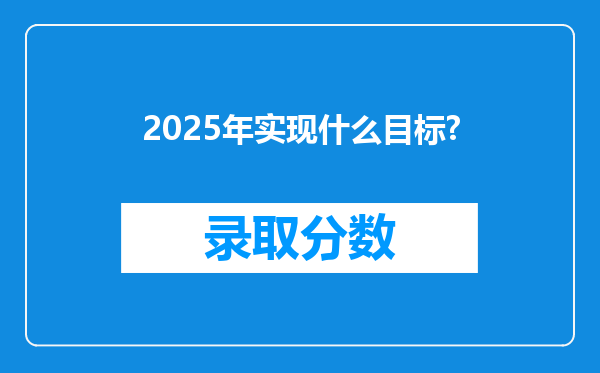 2025年实现什么目标?