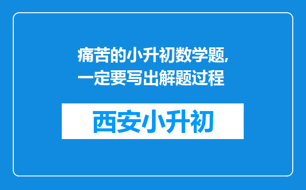 痛苦的小升初数学题,一定要写出解题过程