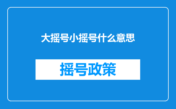 大摇号小摇号什么意思