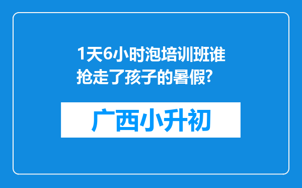 1天6小时泡培训班谁抢走了孩子的暑假?