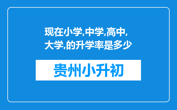 现在小学,中学,高中,大学,的升学率是多少