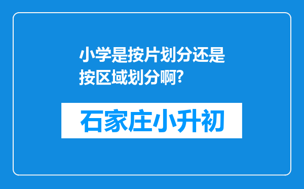 小学是按片划分还是按区域划分啊?