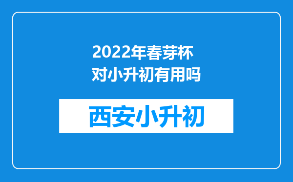 2022年春芽杯对小升初有用吗