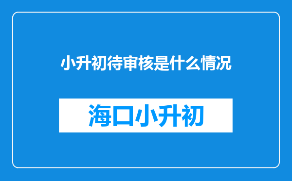 小升初待审核是什么情况