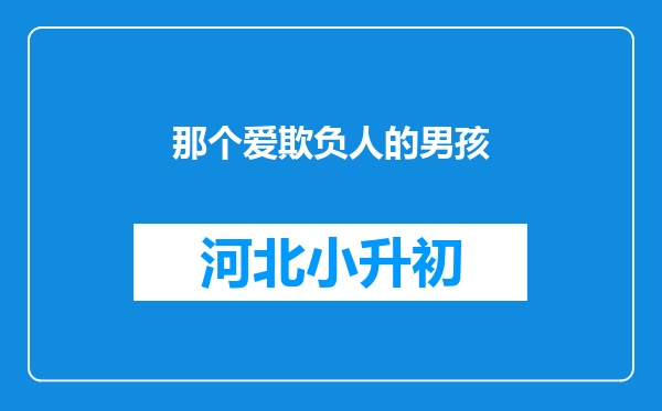 那个爱欺负人的男孩