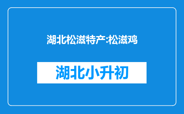 湖北松滋特产:松滋鸡