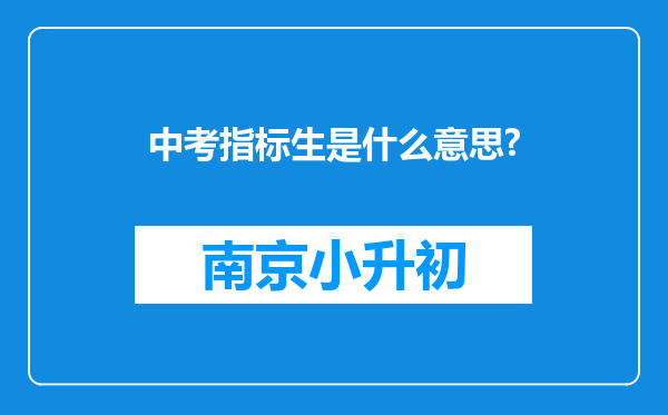 中考指标生是什么意思?