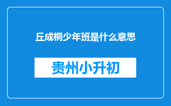 丘成桐少年班是什么意思