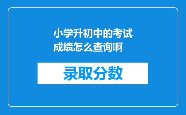 小学升初中的考试成绩怎么查询啊