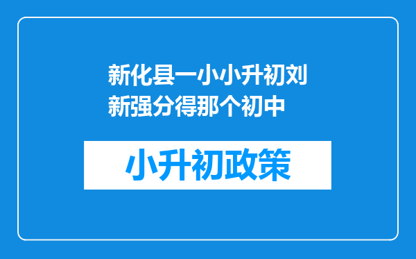 新化县一小小升初刘新强分得那个初中