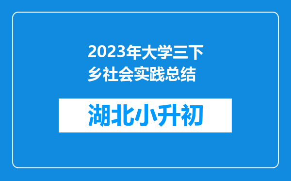 2023年大学三下乡社会实践总结