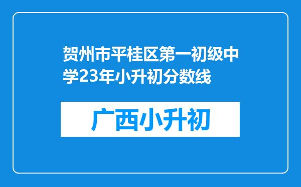 贺州市平桂区第一初级中学23年小升初分数线