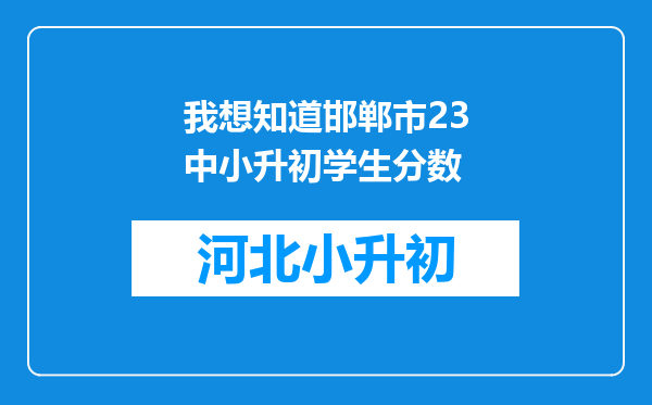 我想知道邯郸市23中小升初学生分数