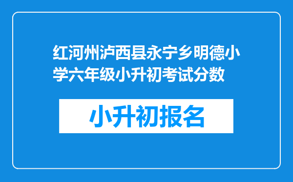 红河州泸西县永宁乡明德小学六年级小升初考试分数