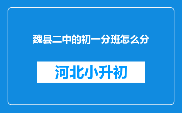 魏县二中的初一分班怎么分