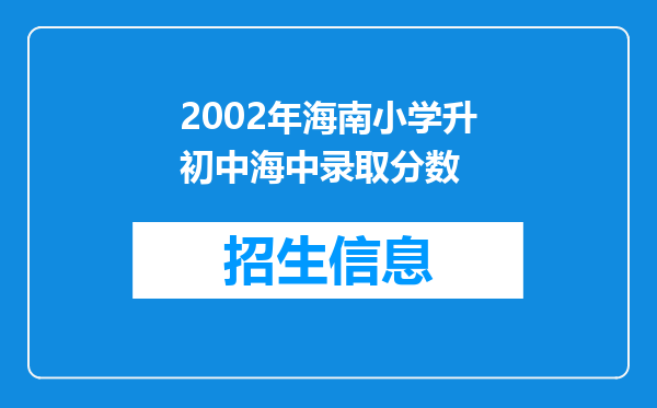 2002年海南小学升初中海中录取分数