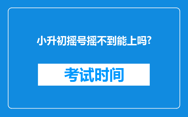 小升初摇号摇不到能上吗?