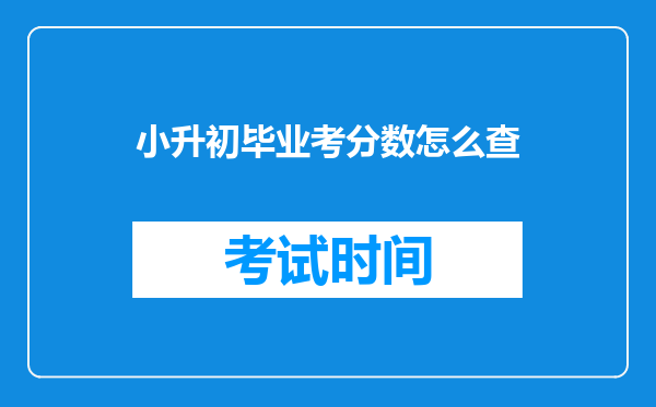 小升初毕业考分数怎么查